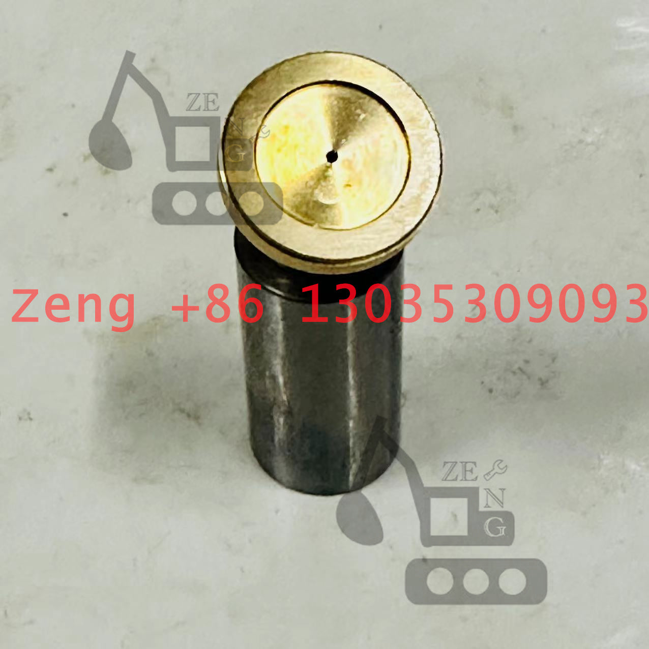 Nabtesco GM18VL final drive piston shoe