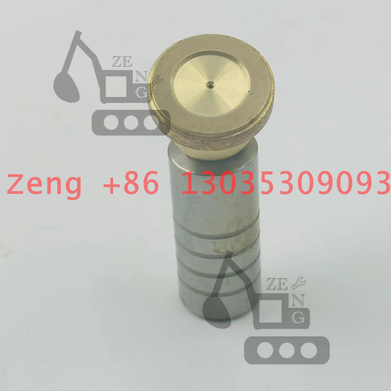 Nabtesco GM07VA travel motor piston shoe