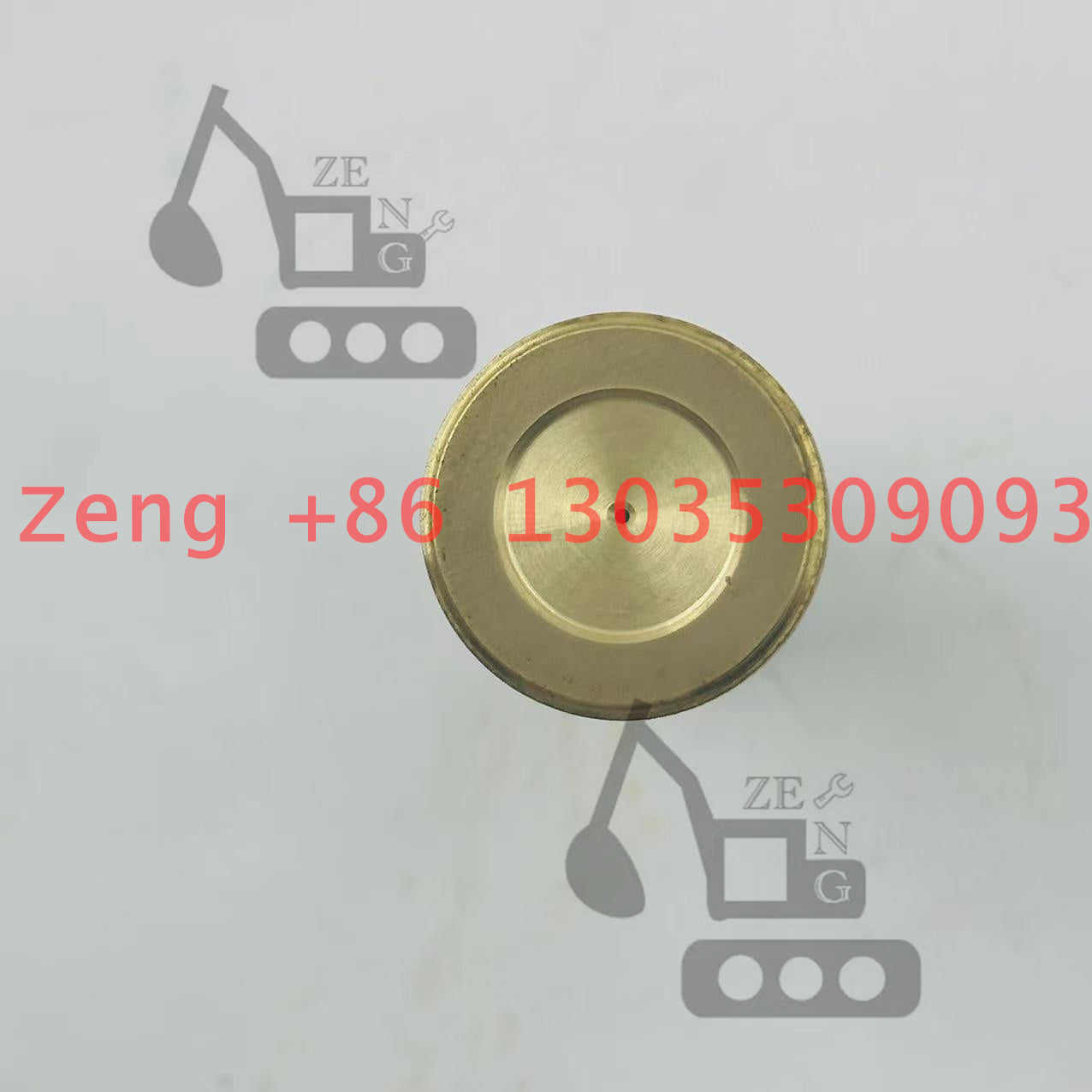 Nabtesco GM07VA travel motor piston shoe