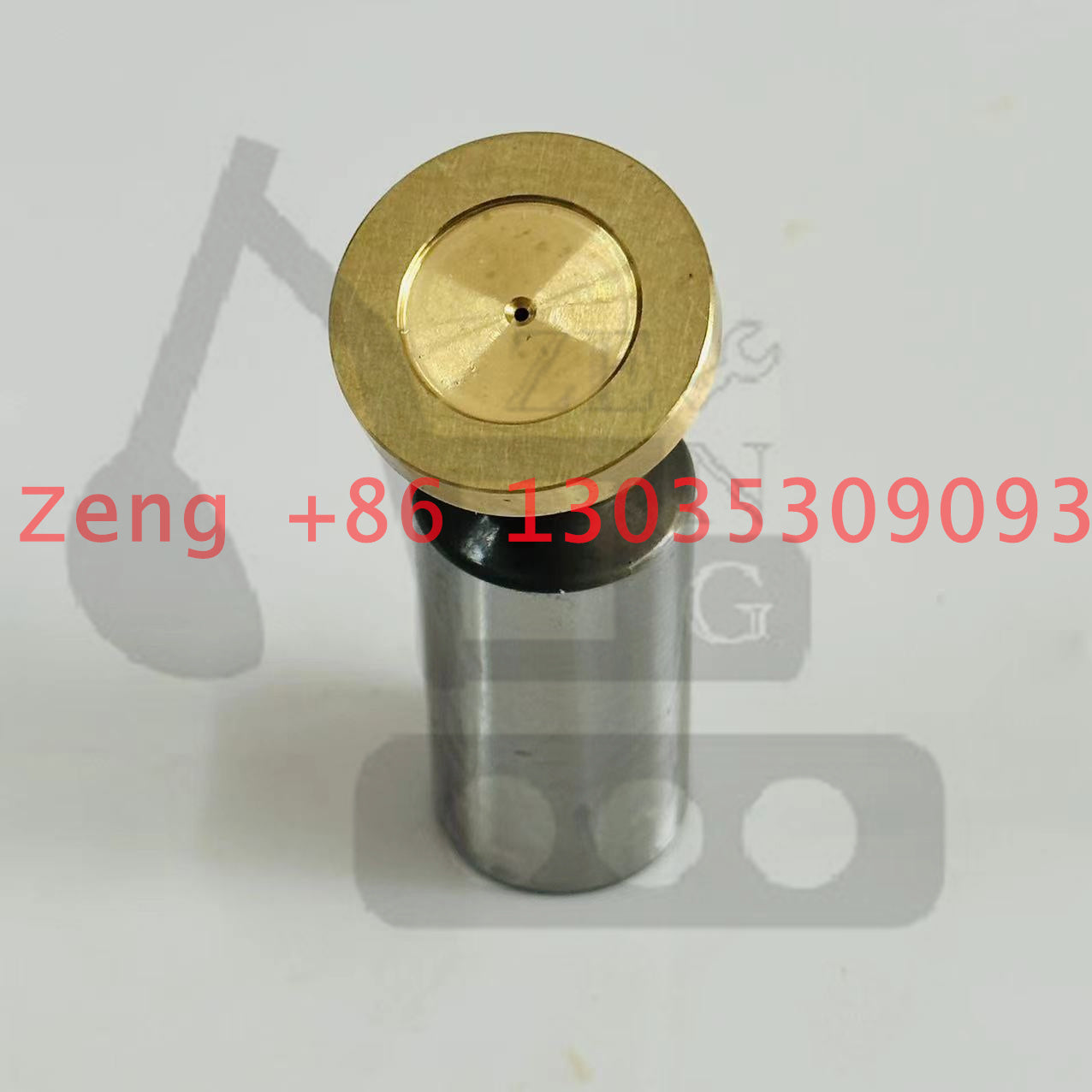 Foton Lovlo FR150 swing motor piston shoe