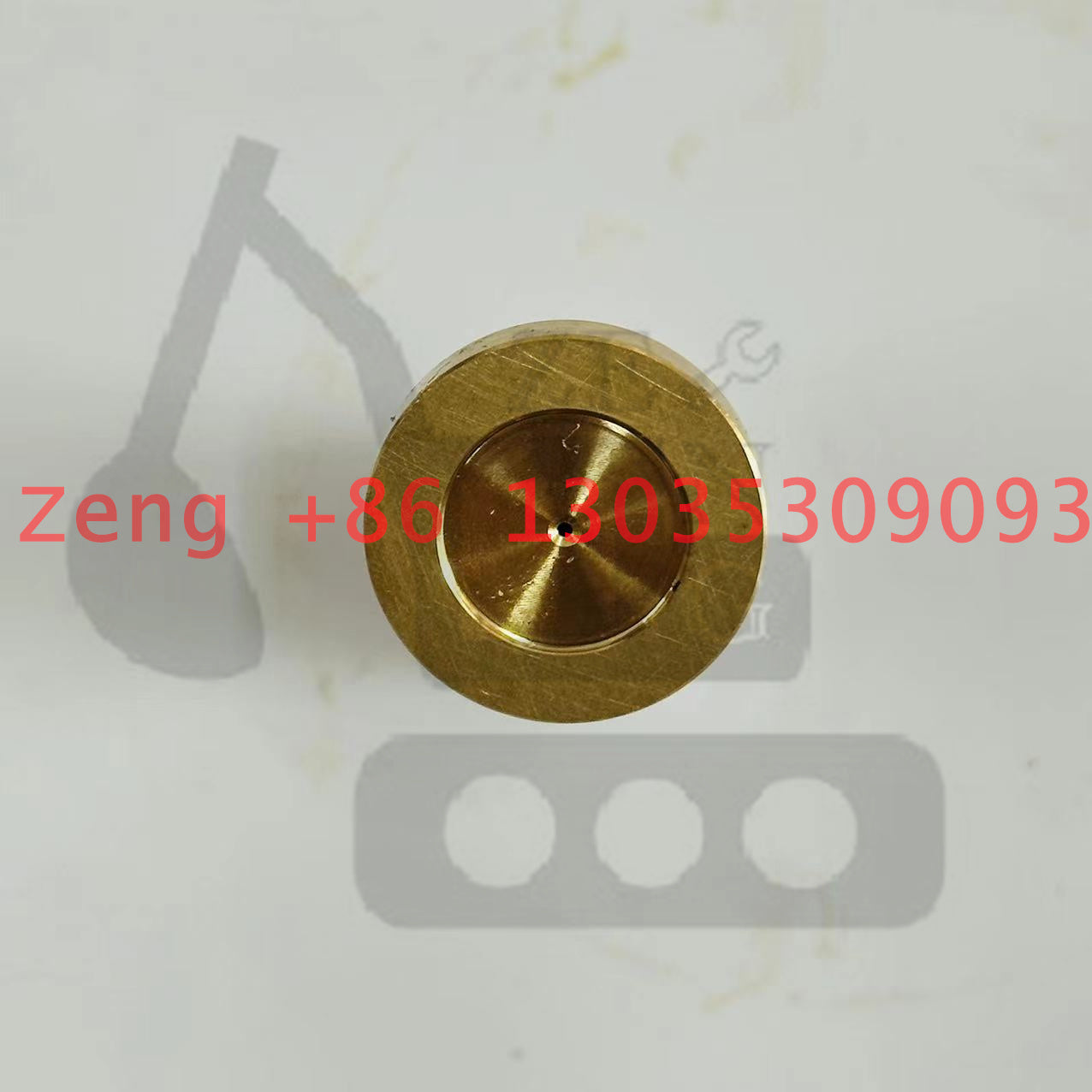 Foton Lovlo FR150 swing motor piston shoe