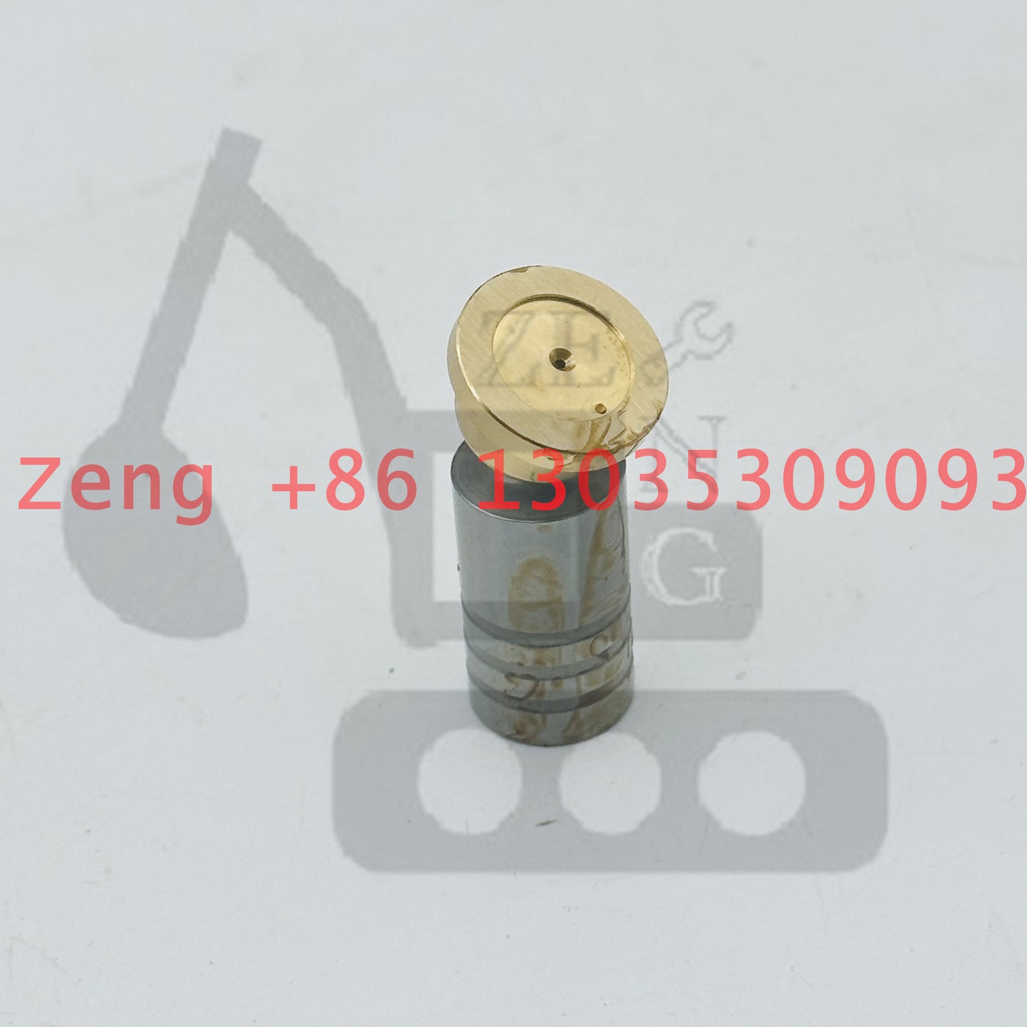 Nabtesco GM06VL final drive travel motor piston shoe