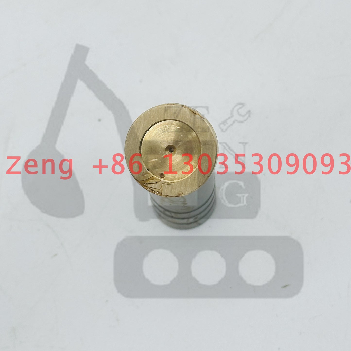 Nabtesco GM06VL final drive travel motor piston shoe