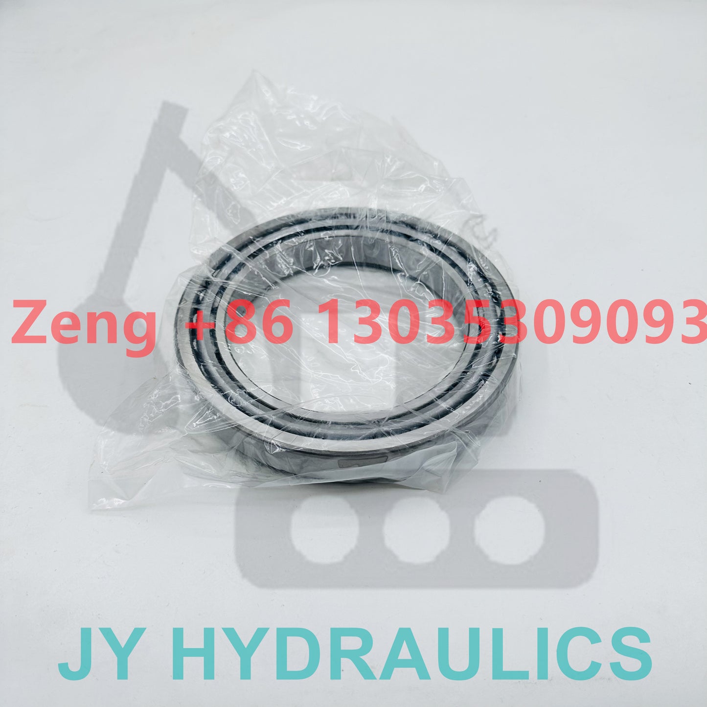 561904P6X bearing