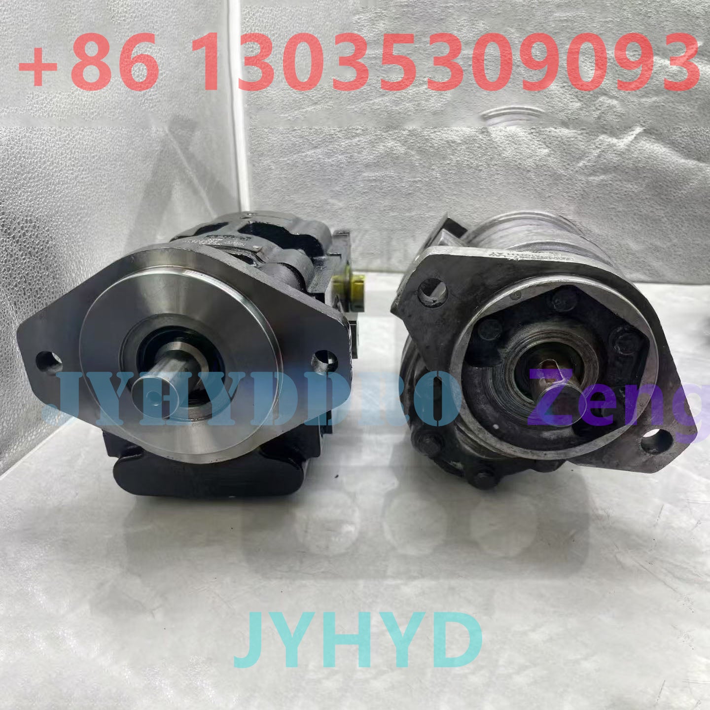 25587-LAG 25020810130 GEAR PUMP