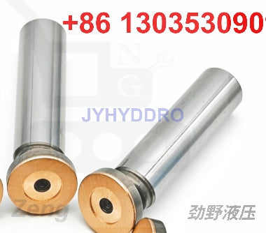 LINDE HMF75 hydraulic motor piston shoe piston subassembly piston kit plungers
