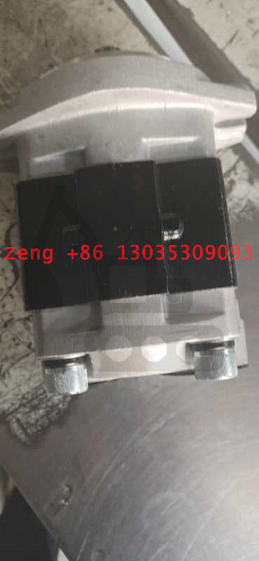 SGP1-36D-10T RH hydraulic pump gear pump pilot pump