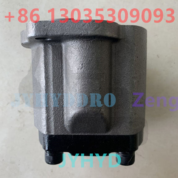 HYUNDAI XJDD-00692 GEAR PUMP