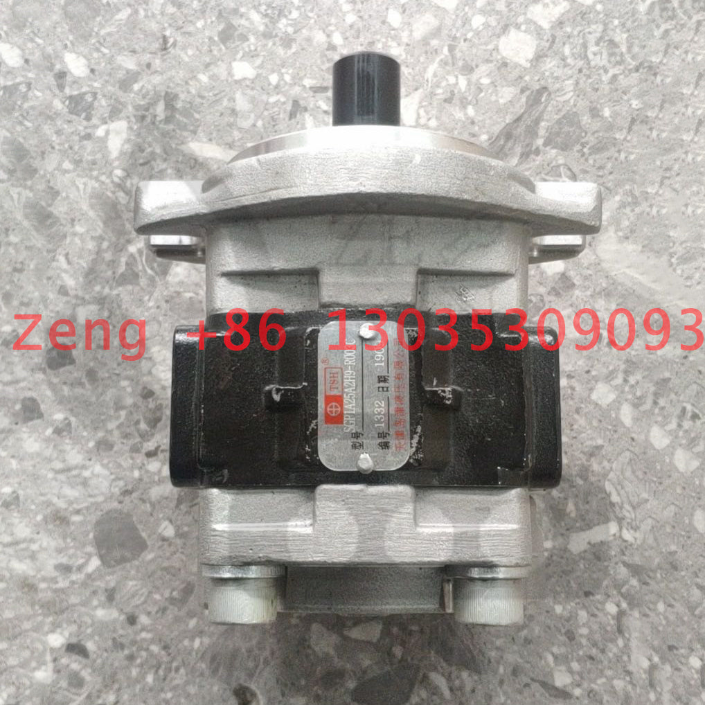 Shimazu OEM SGP1A25A2H9 hydraulic pump gear pump pilot pump