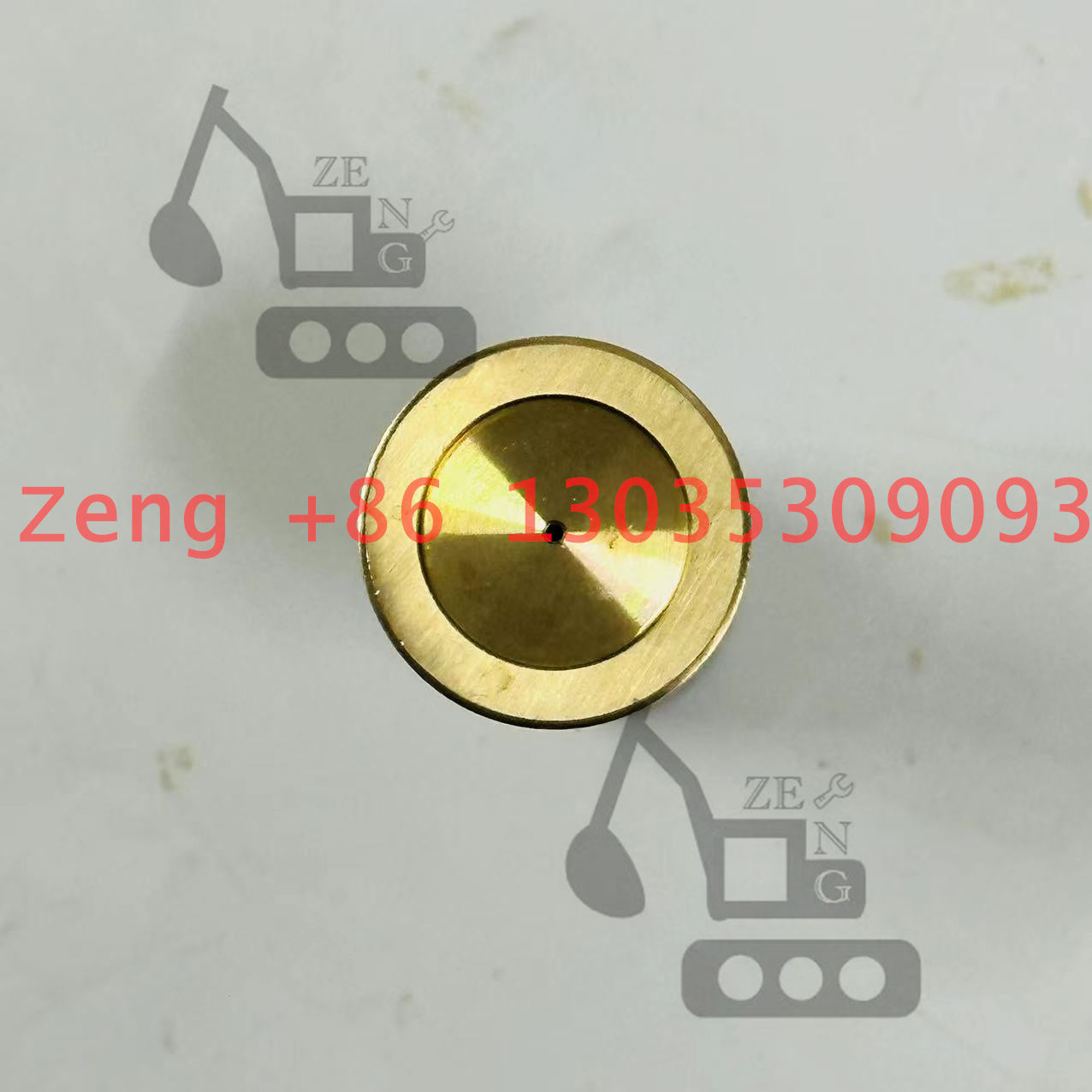 Nabtesco GM18VL final drive piston shoe
