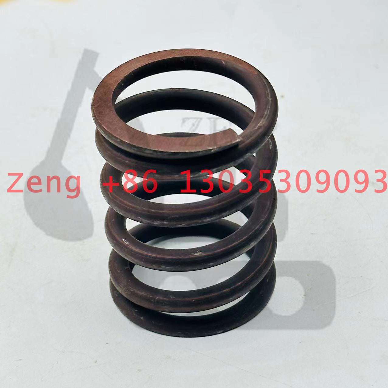AP2D36 hydraulic pump coil spring