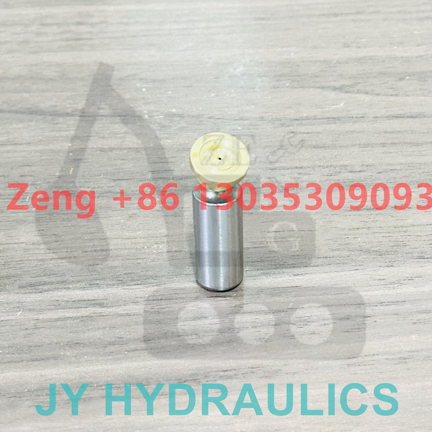 Rexroth AP2D18 hydraulic pump piston shoe