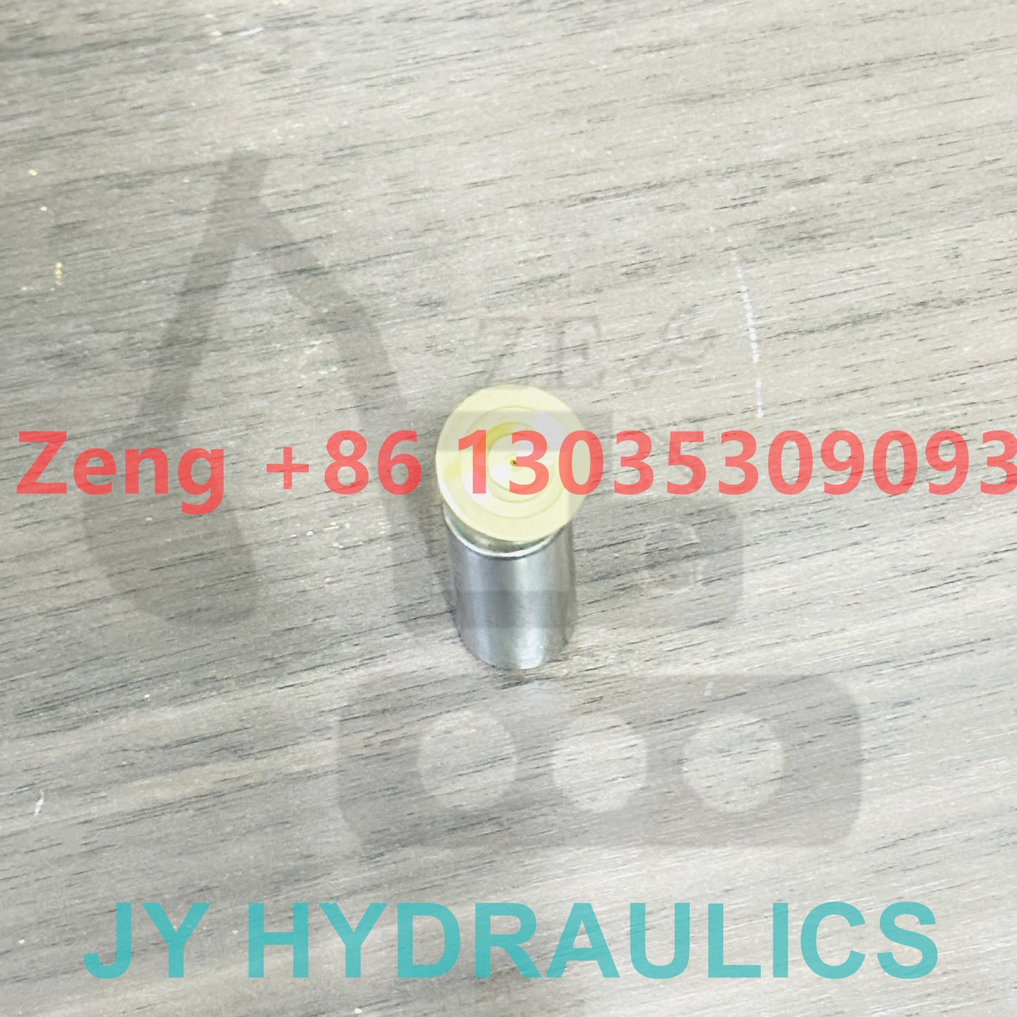 Rexroth AP2D18 hydraulic pump piston shoe