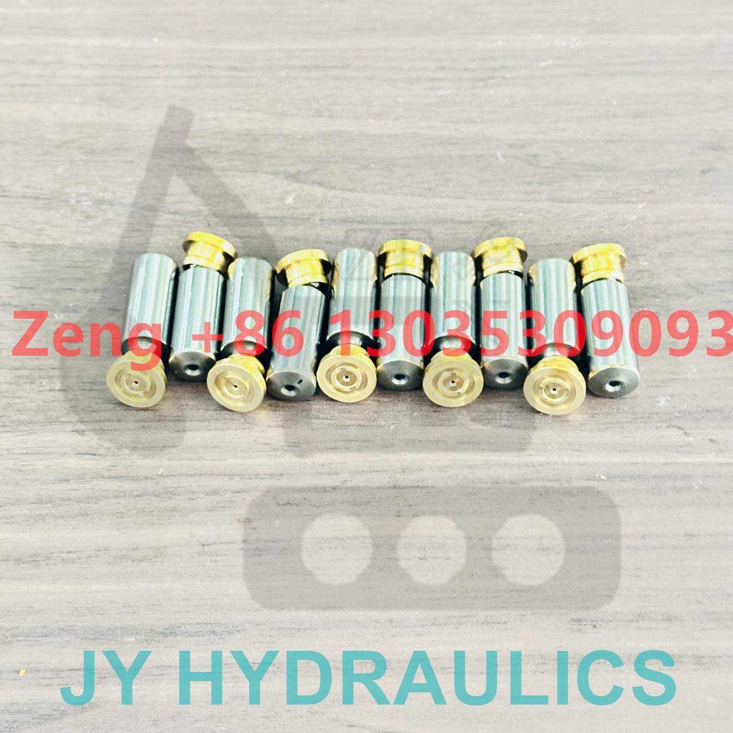 Rexroth AP2D18 hydraulic pump piston shoe