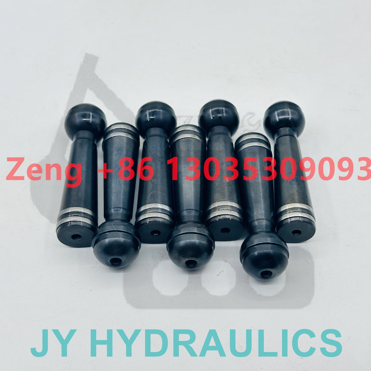 Rexroth A2FO56 hydraulic pump piston shoe piston subassembly