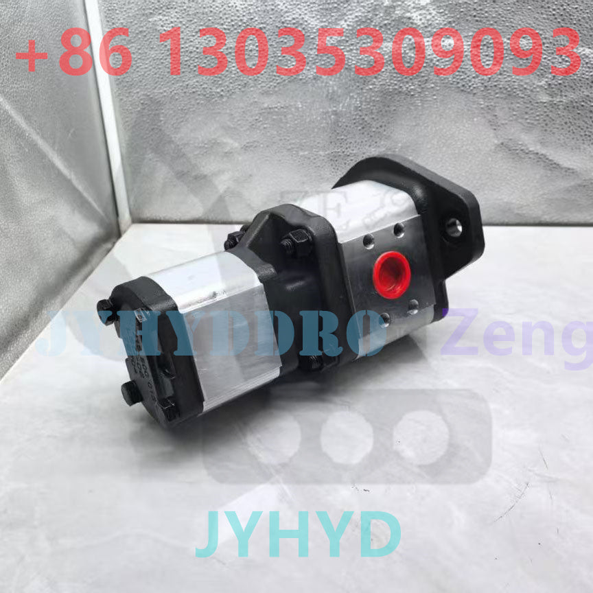 CN103800441 25021310289 PXD02789 GEAR PUMP