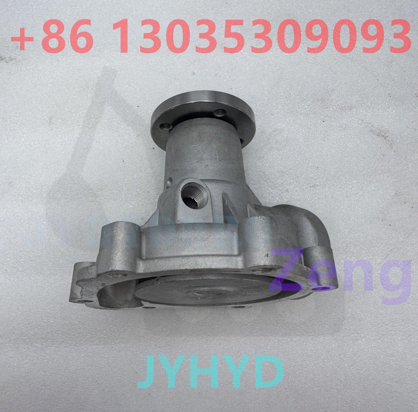 BFM1012 BFM2012 WATER PUMP