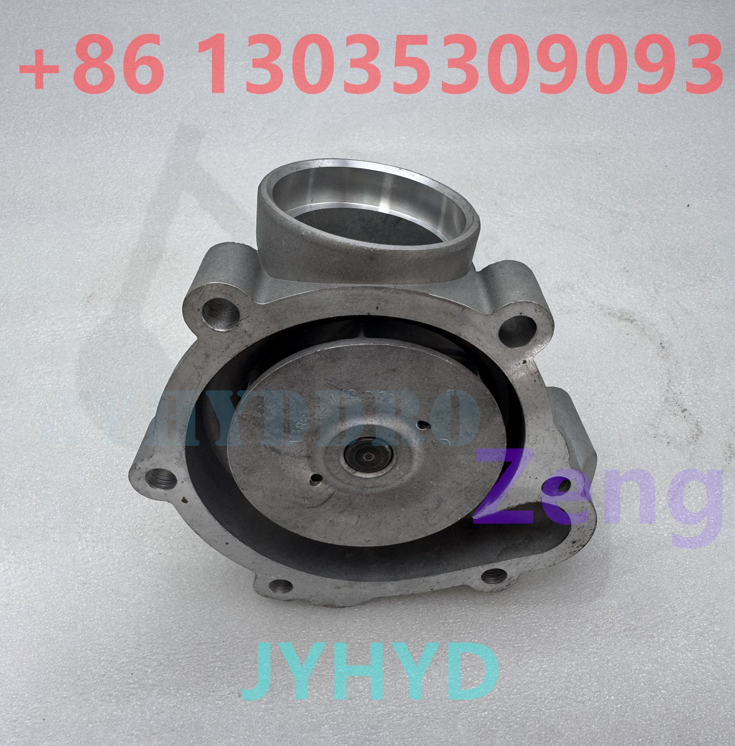 BFM1012 BFM2012 WATER PUMP
