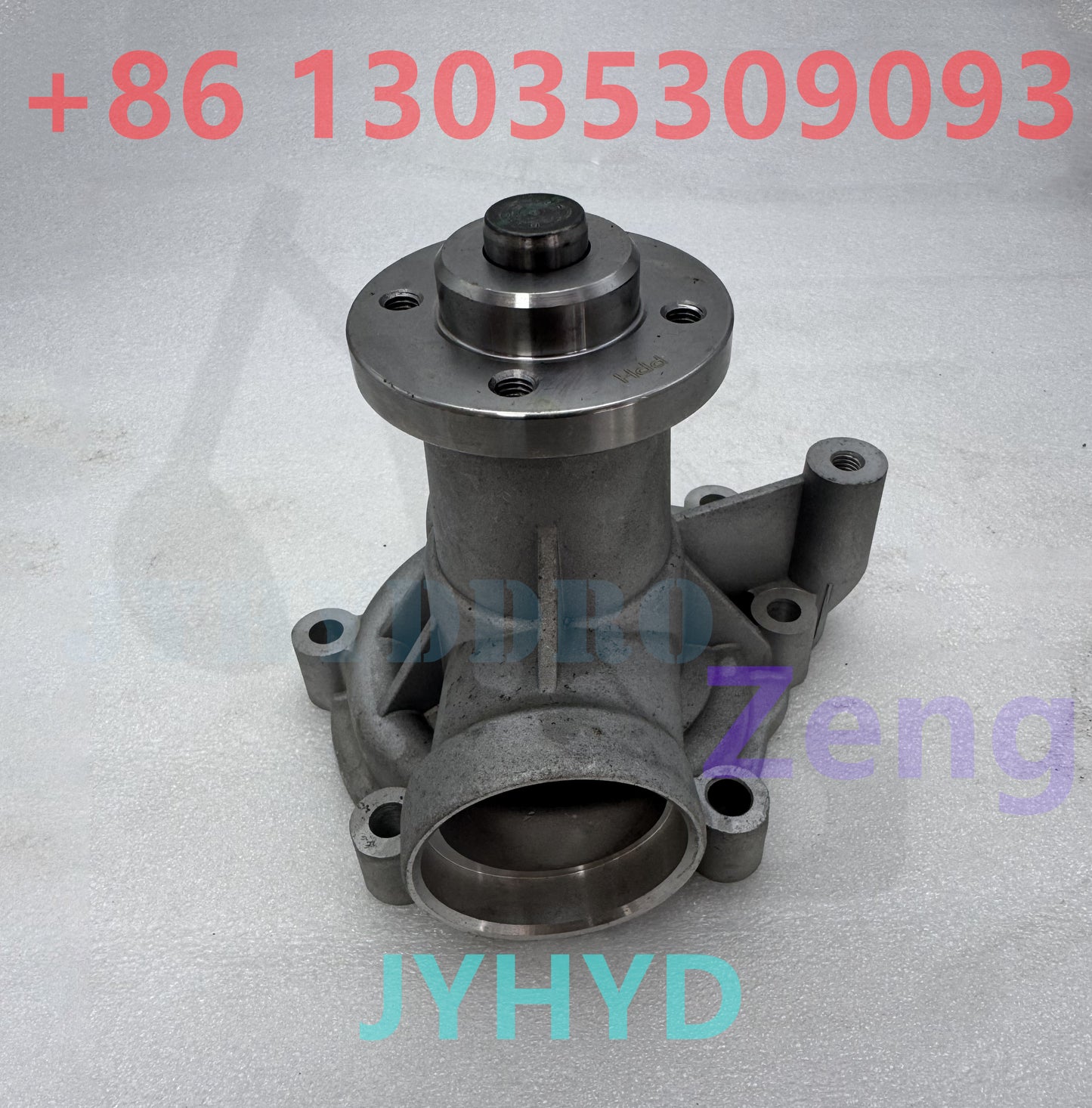 BFM1012 BFM2012 WATER PUMP