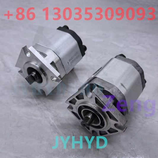 BH2G110220 1001269480 GEAR PUMP