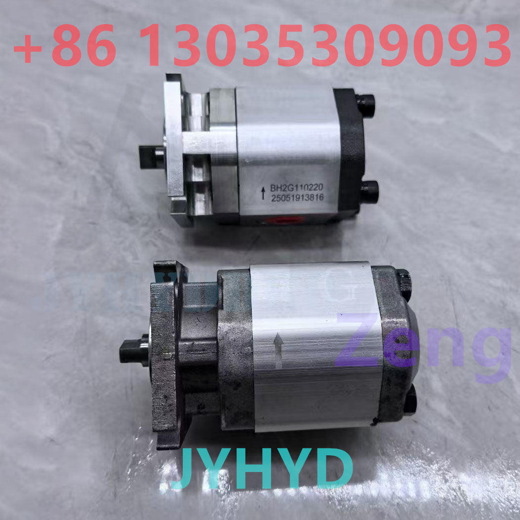 BH2G110220 1001269480 GEAR PUMP