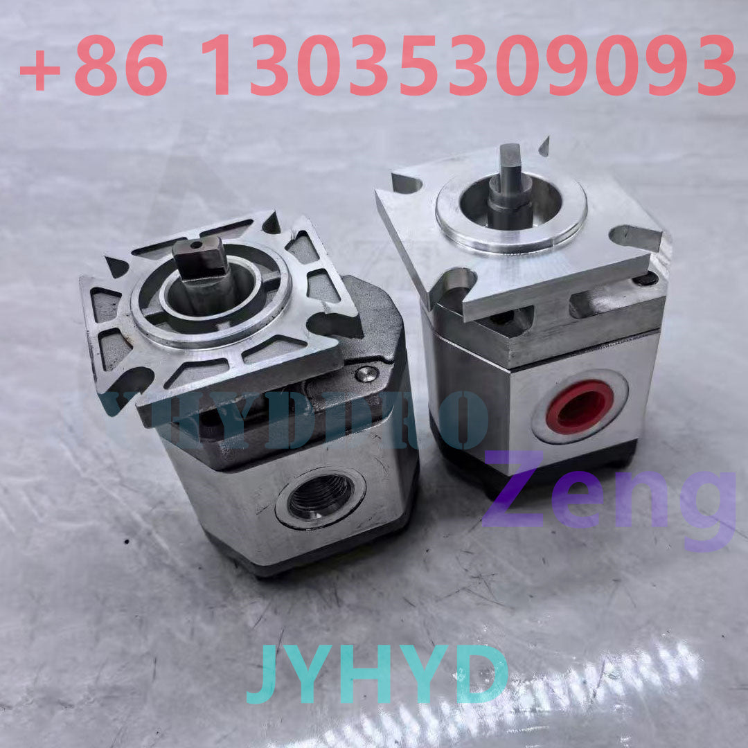 BH2G110220 1001269480 GEAR PUMP
