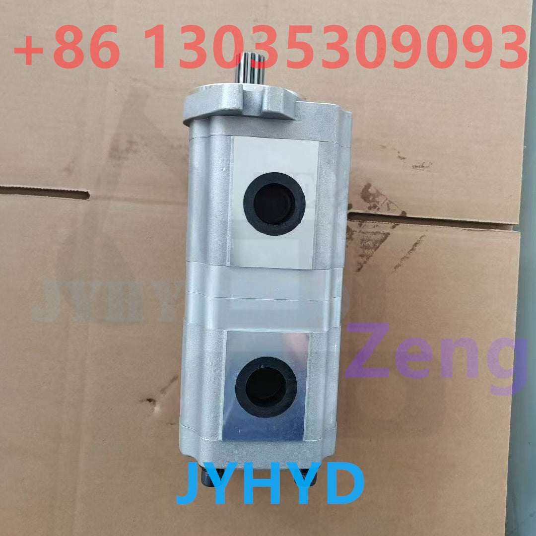 111.20.293.00 SNP2NN/4.0RN03CA P3E6E5NNNN/NNNNN GEAR PUMP