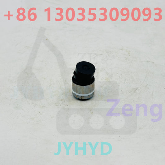 2409-1024C SWASH PISTON