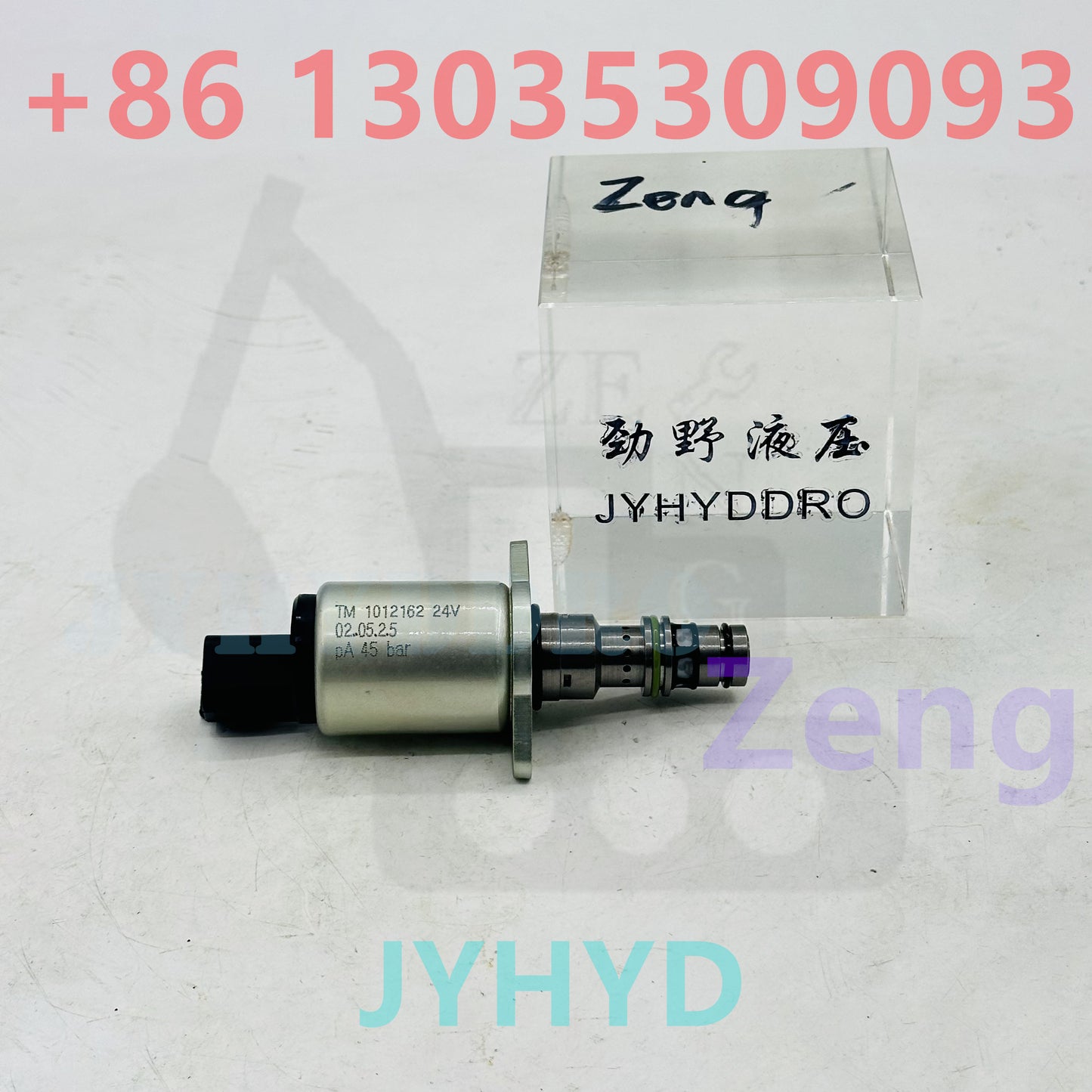 TM1012162-HL SOLENOID VALVE