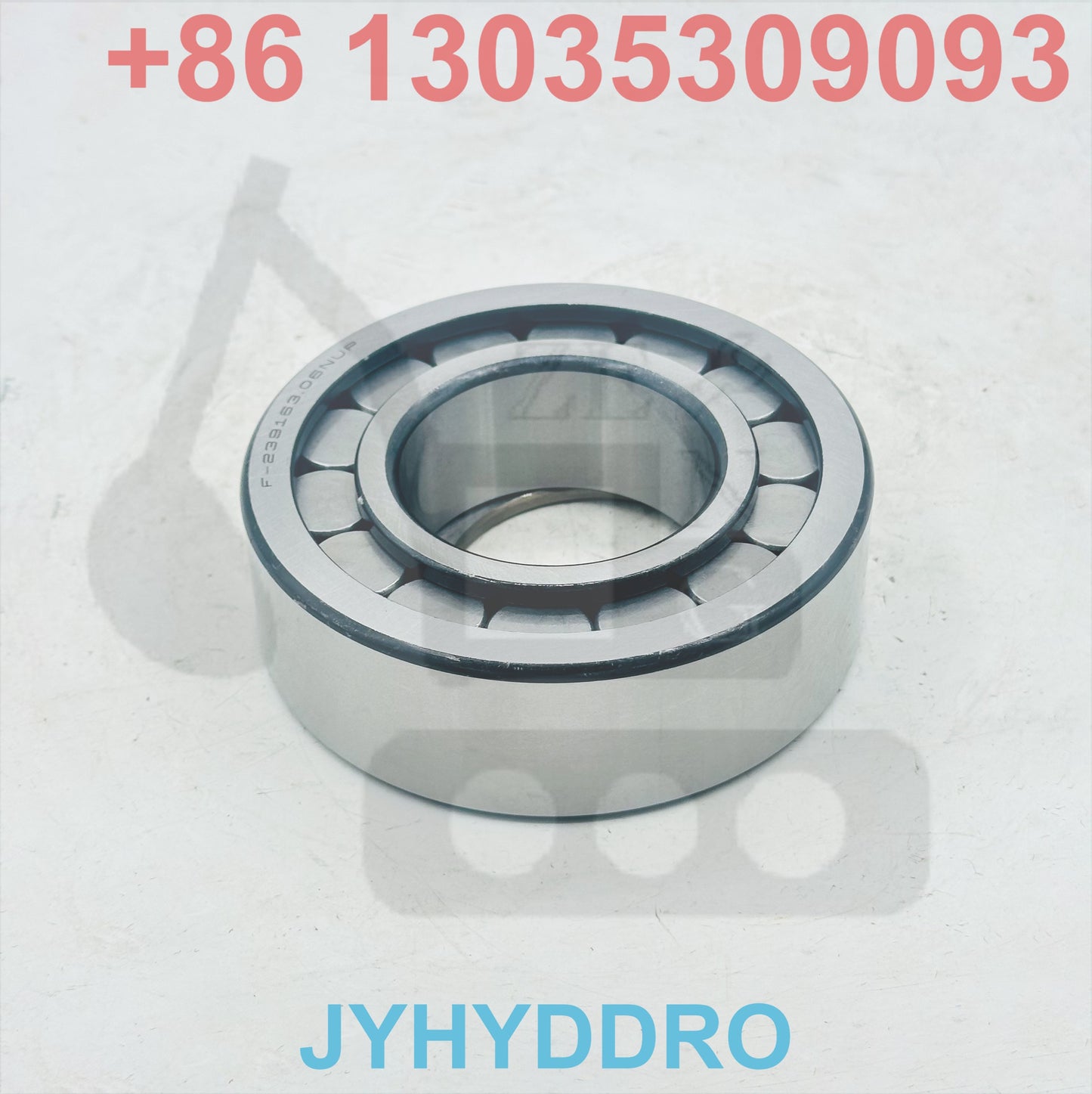 F-239163.06NUP BEARING