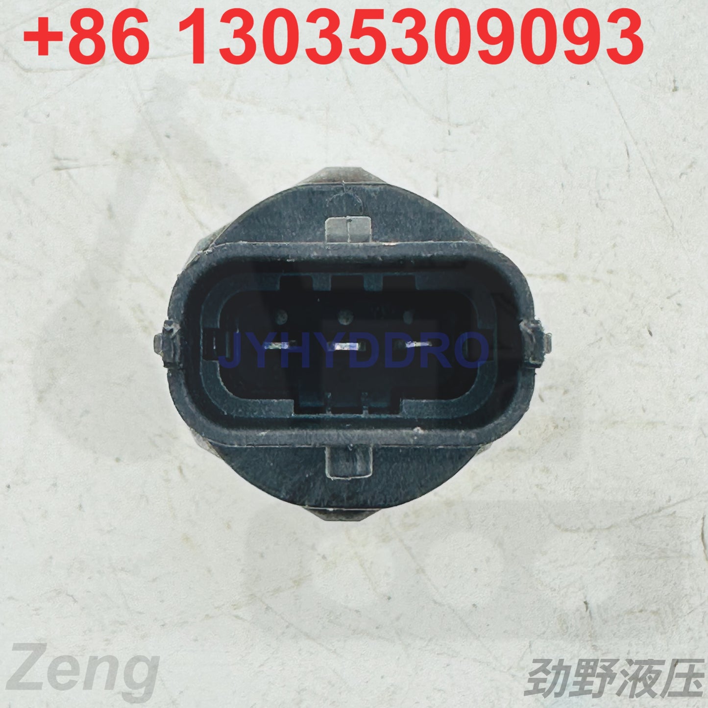 0281002937 SENSOR