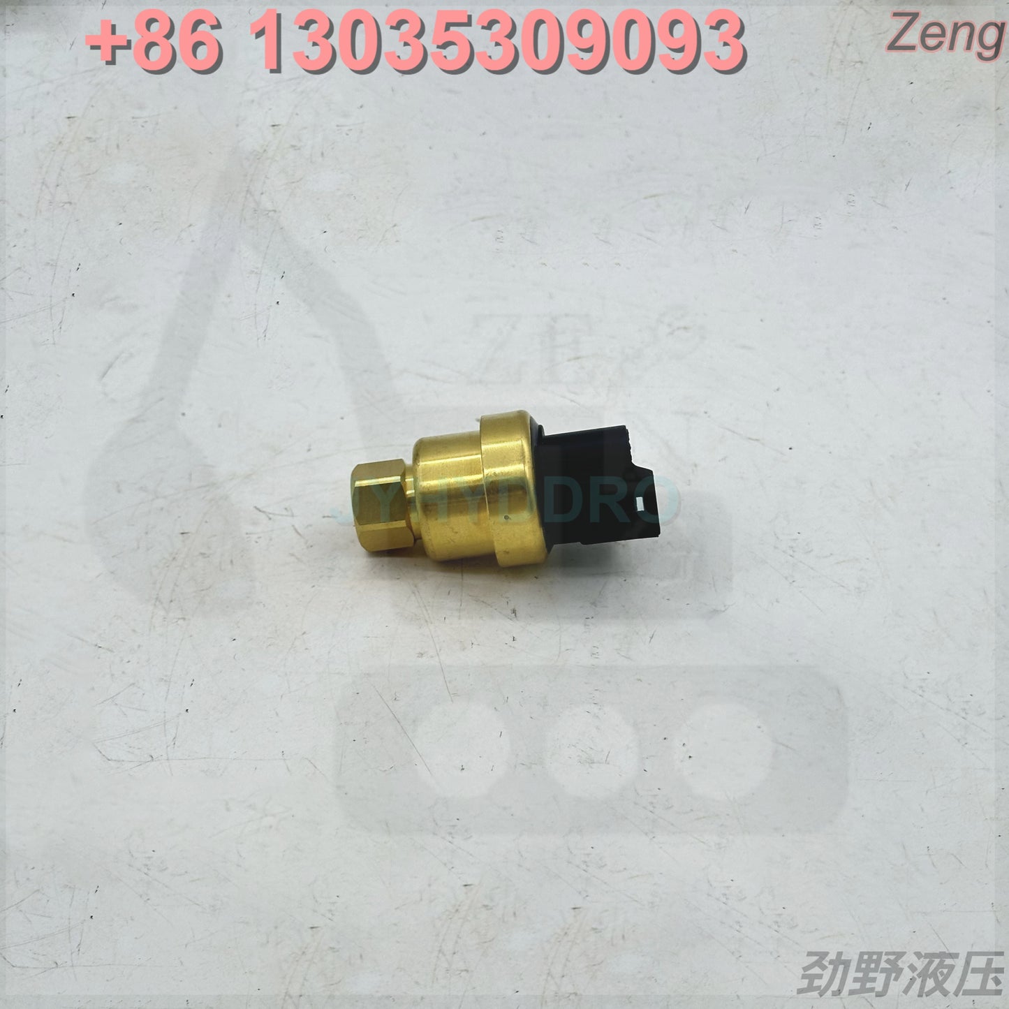 161-1704 SENSOR