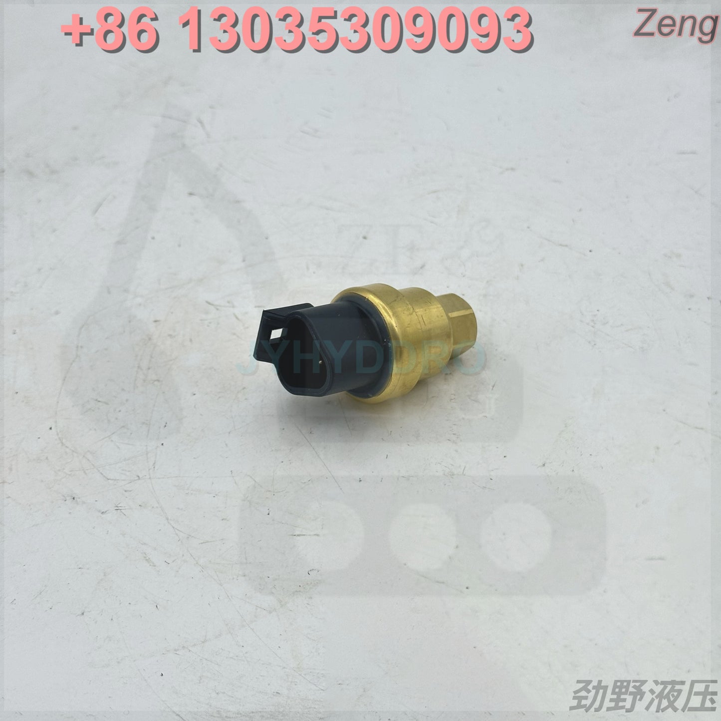 161-1704 SENSOR