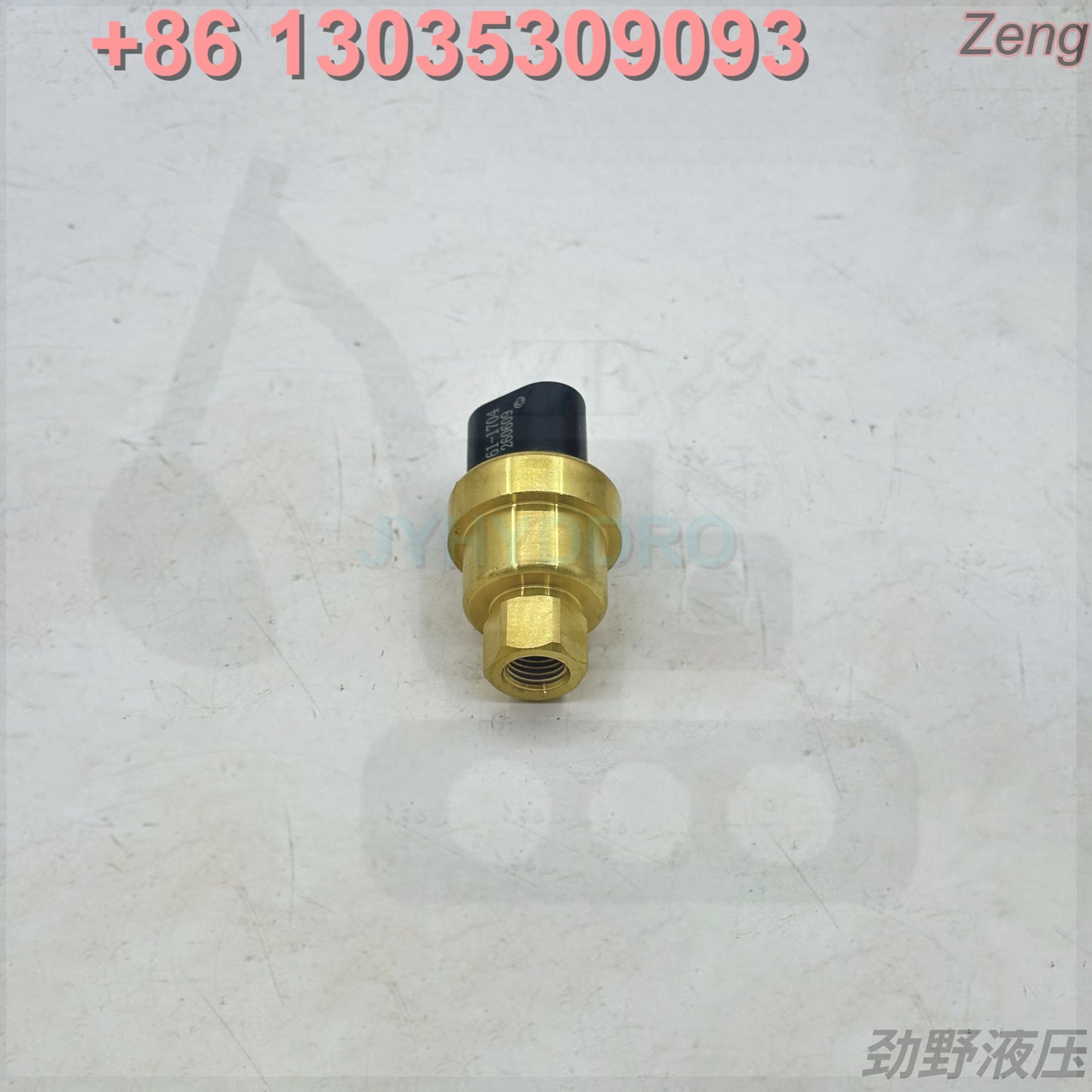 161-1704 SENSOR
