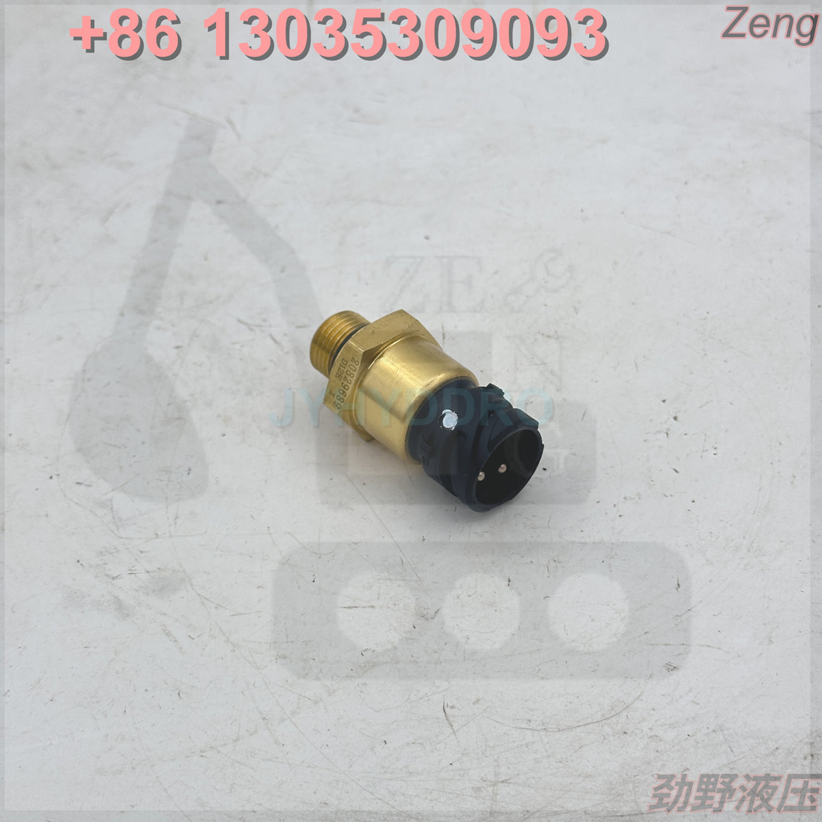 20829689 SENSOR