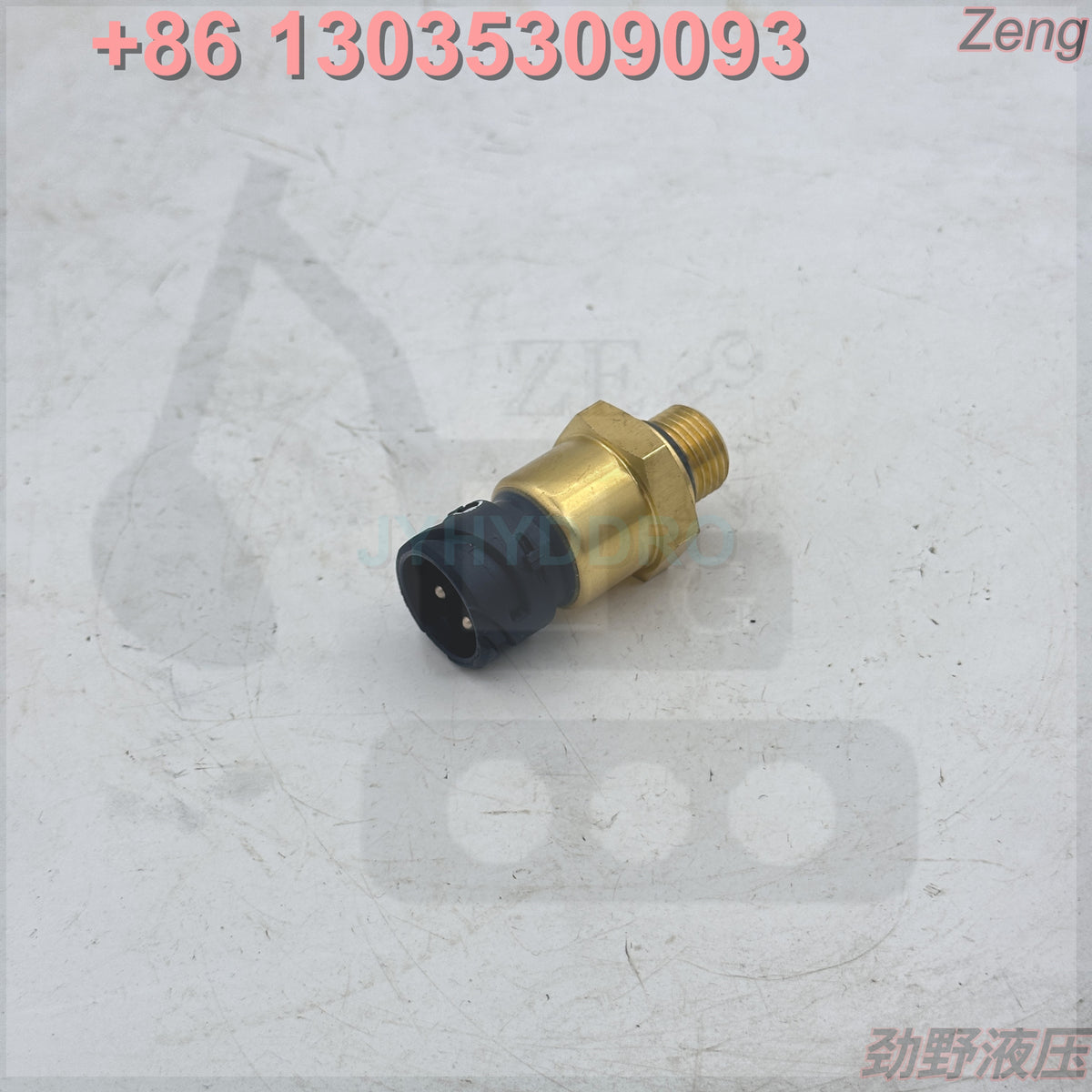 20829689 SENSOR