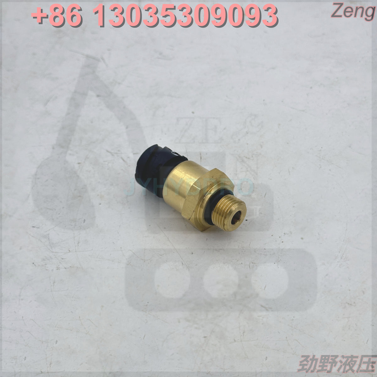 20829689 SENSOR