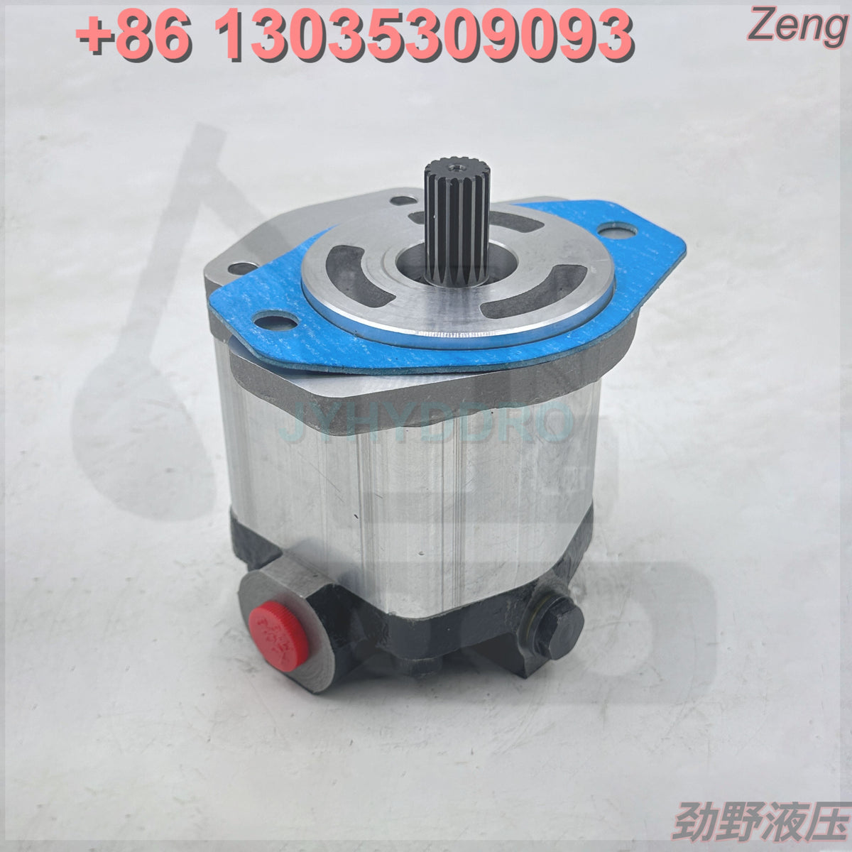 XCMG 803000065 100232 GEAR PUMP