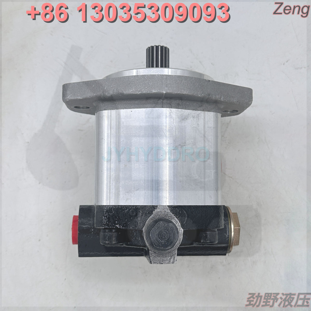 XCMG 803000065 100232 GEAR PUMP
