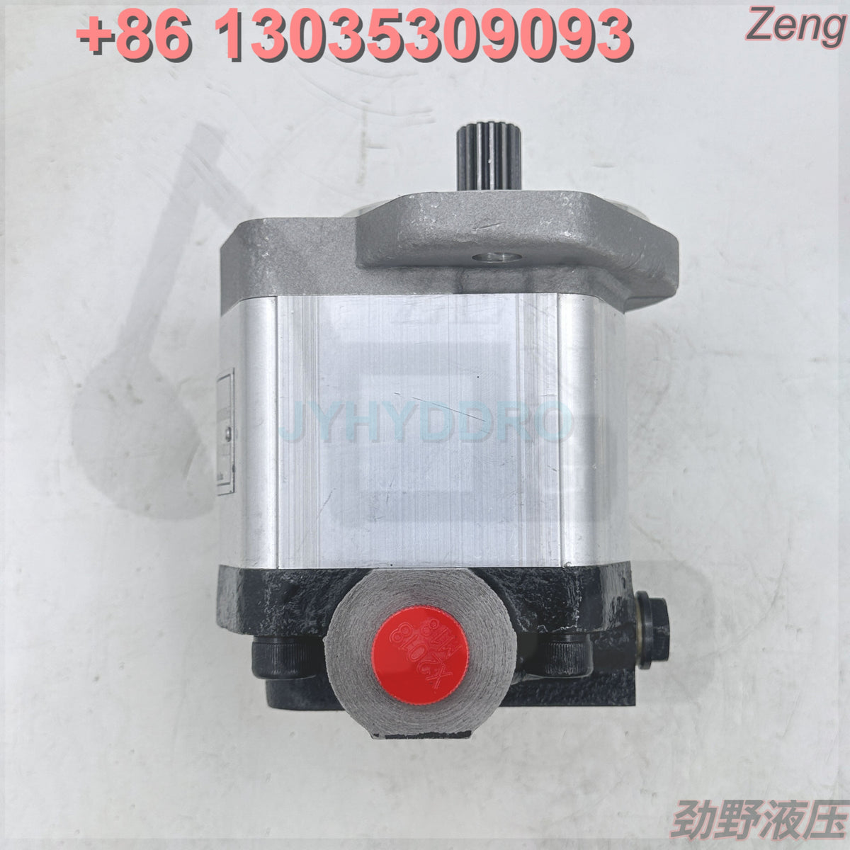 XCMG 803000065 100232 GEAR PUMP