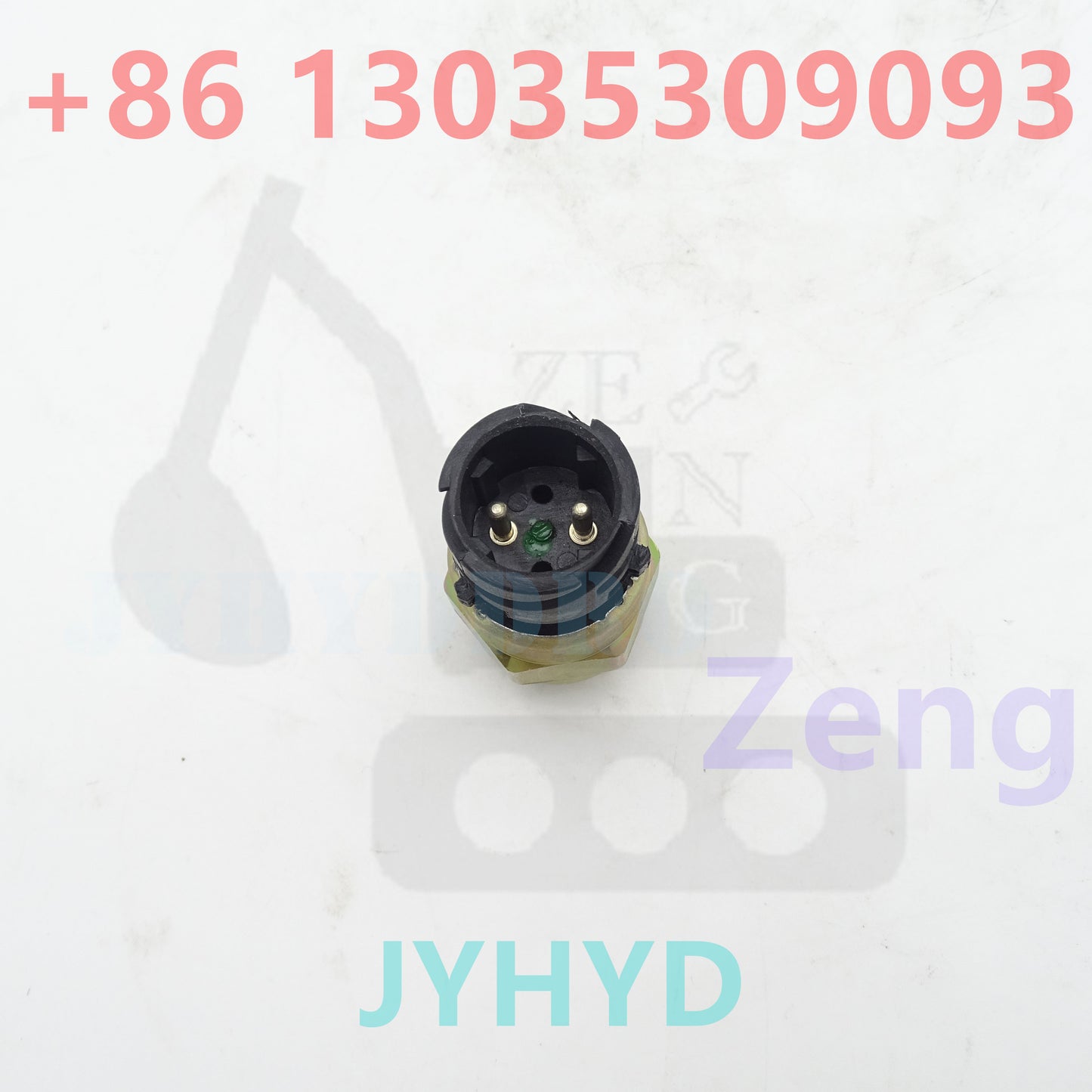 21202753 SENSOR