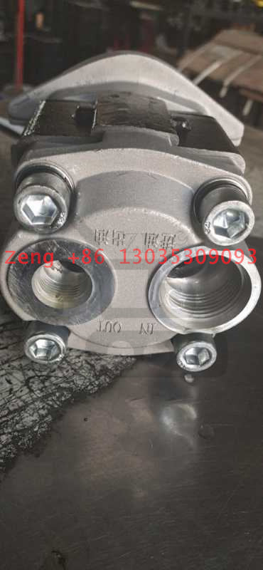 SGP1-36D-10T RH  hydraulic pump gear pump pilot pump