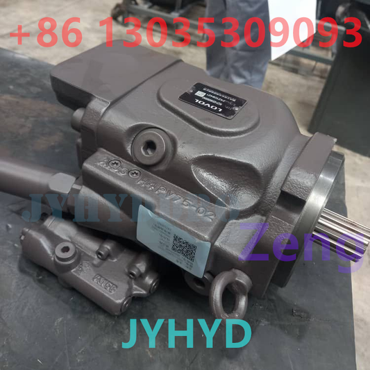 LOVOL RG21-02D660000A0 201005445 HYDRAULIC PUMP