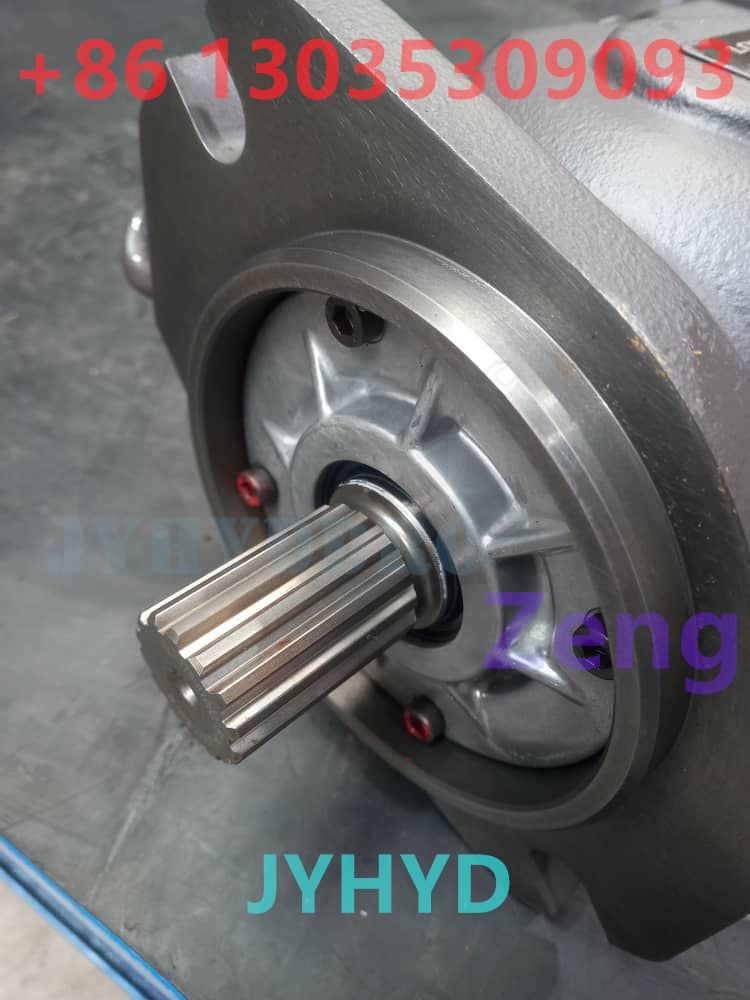 LOVOL RG21-02D660000A0 201005445 HYDRAULIC PUMP