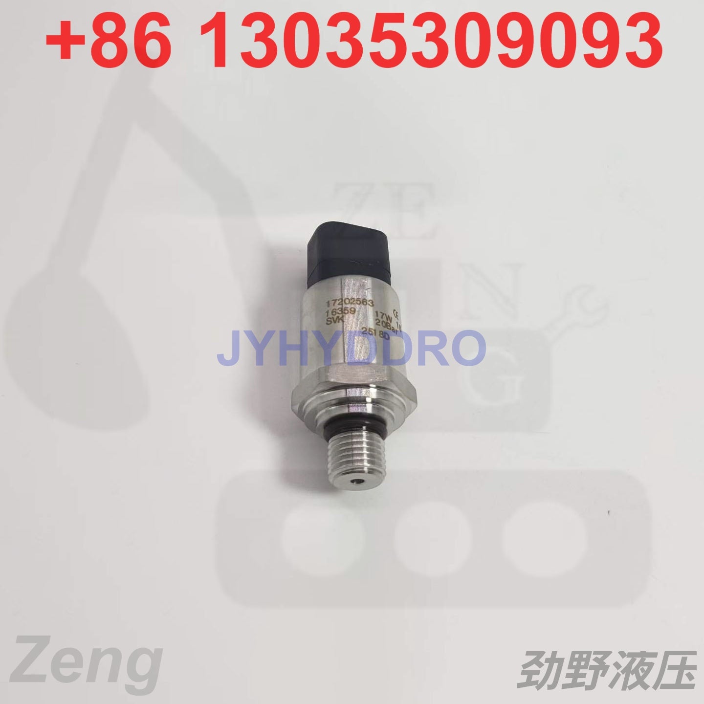 17202563 SENSOR