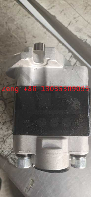 SGP1-36D-10T RH  hydraulic pump gear pump pilot pump