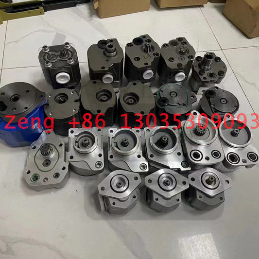 Rexroth AP2D12 AP2D14 AP2D21 AP2D25 AP2D28 AP2D36 A8V55 A8VO80 A8VO107 A8VO140 A8VO160 A8VO200 A8VO225 SK60-8 CX55 gear pump pilot pump