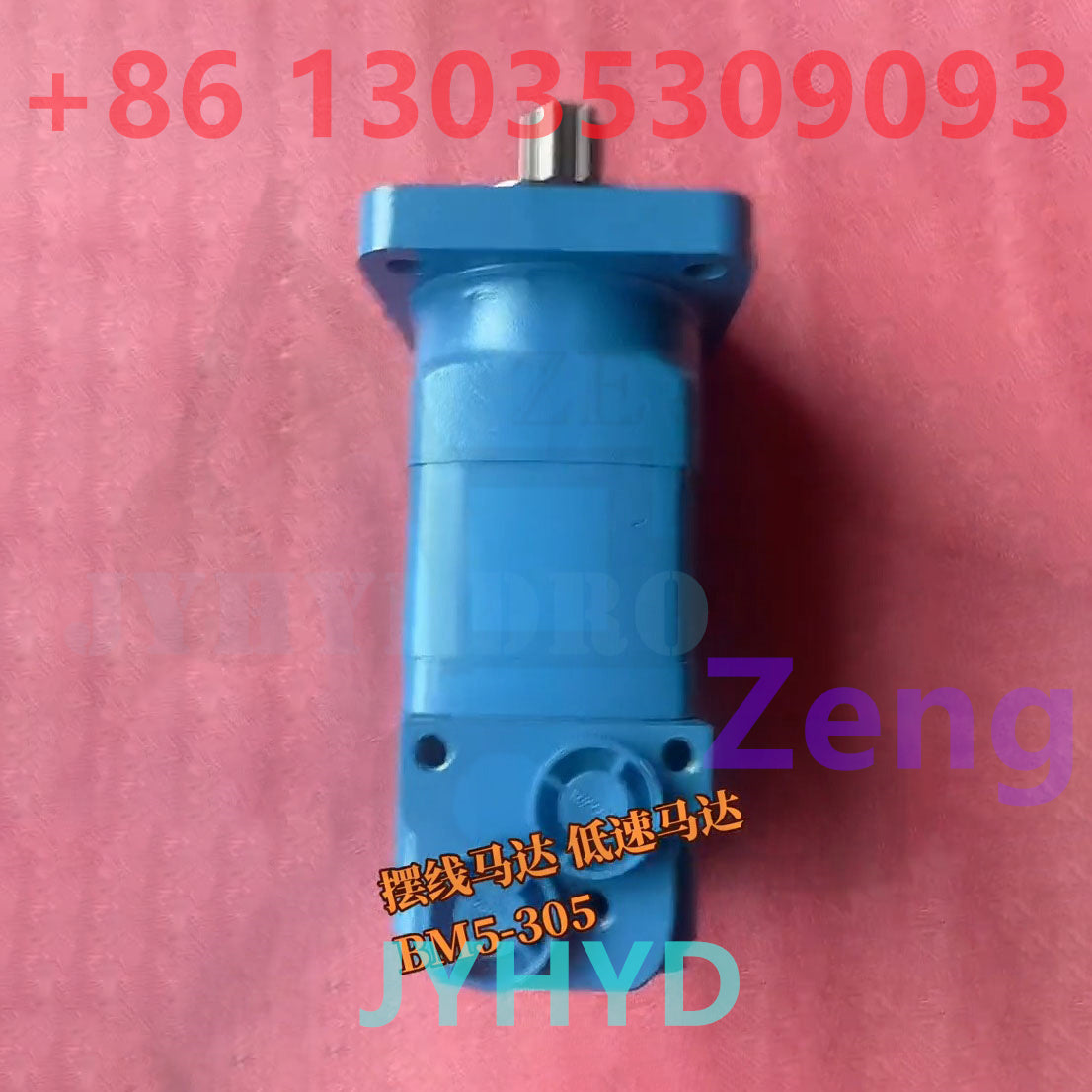 BM5-305 MOTOR