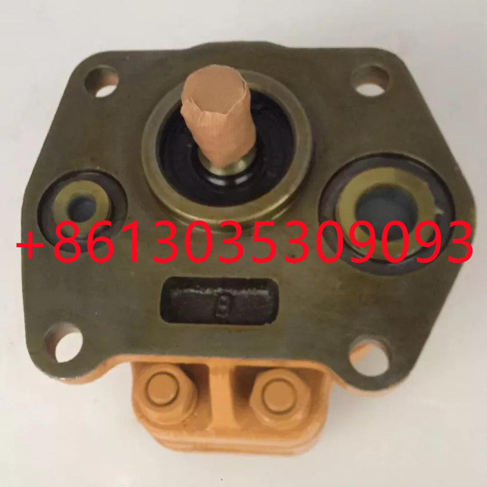 D20 D21 07421-71401 gear pump